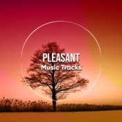 #1 Hour of Pleasant Music Tracks for Sleep and Relaxation