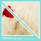 2018 An Ambient Collection: Meditation Dreams