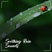 19 Soothing Sounds of Nature: Relax and Unwind