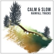 #15 Calm & Slow Rainfall Tracks for Natural Sleep Aid