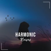 #16 Harmonic Noises for Meditation