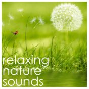 12 Meditation and Deep Sleep Rain Sounds