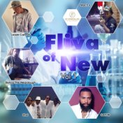 Fliva of New, Vol. 1
