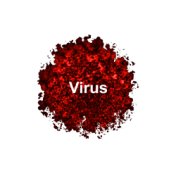 Virus