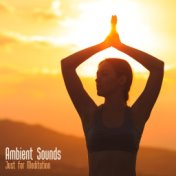 Ambient Sounds Just for Meditation 2020
