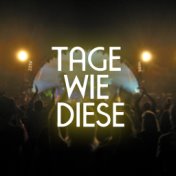 Tage wie diese (Die Toten Hosen Cover)