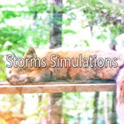 Storms Simulations
