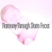 Harmony Through Storm Focus