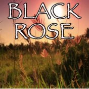 Black Rose - Tribute to Volbeat and Danko Jones