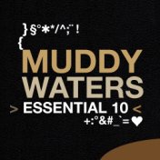 Essential 10: Muddy Waters