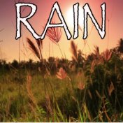 Rain - Tribute to The Script