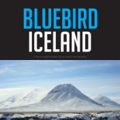 Bluebird Iceland