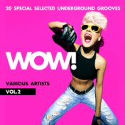 WOW! (20 Special Selected Underground Grooves), Vol. 2