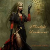 Moonlight Rendezvous