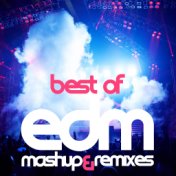 Best Of EDM (Mashup and Remixes)