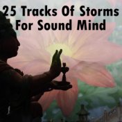 25 Tracks Of Storms For Sound Mind