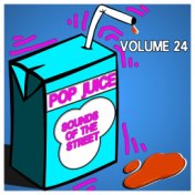 Pop Juice Sounds of the Street, Vol. 24
