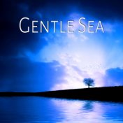 Gentle Sea - Ocean of Meditation, Calm Music for Reiki, Breathing Exercises, Natural Sounds for Pilates and Wellness, Relax Your...