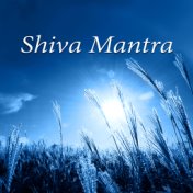 Shiva Mantra - Balance Body, Mind & Soul, Healing Yoga Meditation for Peace of Mind, Zen Music for Relaxation with Nature Sounds
