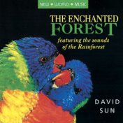 The Enchanted Forest