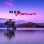 Relaxing Naturescapes – Best Relaxation Music with the Sounds of Nature