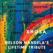 Nelson Mandela's Lifetime Tribute