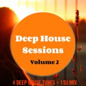 Deep House Sessions 2 (Volume 2)