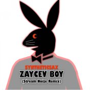 Zaycev Boy (Stream Noize Remix)