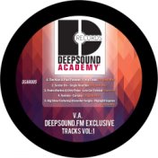 Deepsound FM Exculisive Tracks Vol.1