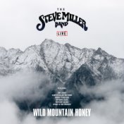 Wild Mountain Honey (Live)