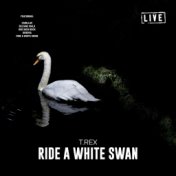 Ride a White Swan (Live)