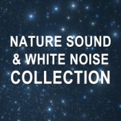 2018 A Nature Sound & White Noise Collection