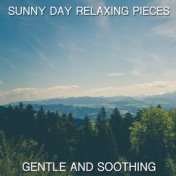 15 Sunny Day Relaxing Pieces - Gentle and Soothing