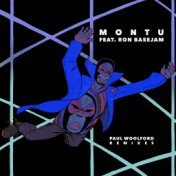 Montu (feat. Ron Basejam) (Paul Woolford Remix)