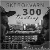 Skebokvarn 300 nånting