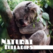 Natural Lullabies – Relaxing Sounds Of Nature for Calm Down Before Sleep, Deep Sleep, Relaxing Music Therapy