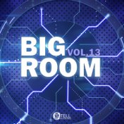 Big Room, Vol. 13