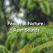 Peaceful Nature: Rain Sounds