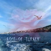 Rose of Turkey