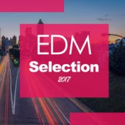 EDM Selection 2017