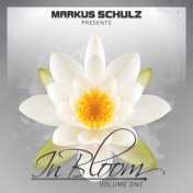 Markus Schulz presents In Bloom EP