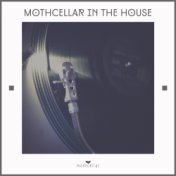 Mothcellar in the House