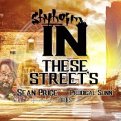 In These Streets (feat. Sean Price, Prodigal Sunn & DJ Des)
