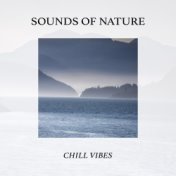 Sounds Of Nature: Chill Vibes