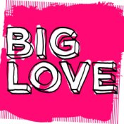 Big Love, Vol. 2: Mixed by Seamus Haji