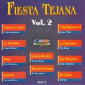 Fiesta Tejana Vol.2