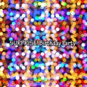 SURPRISE! Birthday Party