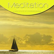 Meditation, Vol. Yellow