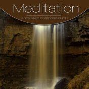 Meditation, Vol. Brown, Vol. 3