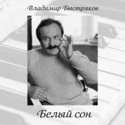 Владимир Быстряков. Белый сон